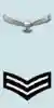 IAF Cpl Arm.png