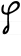Hebrew letter Tsadik-final handwriting.svg