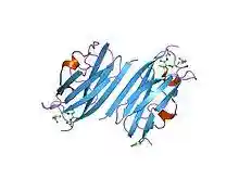 PDB 2brq EBI.jpg