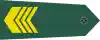 Taiwan-army-OR-6-H.svg