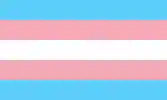 Trans pride flag, made up of horizontal stripes of (from top to bottom) light blue, pink, white (which represents nonbinary people), pink and light blue.