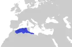 Map of Numidia at its greatest extent
