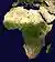 Africa satellite orthographic.jpg
