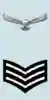 IAF Sgt Arm.png