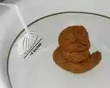 Human feces