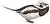 The birds of Europe (1837) (white background).jpg