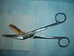 Bandage Scissors.JPG