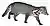 Malay Civet (Viverra tangalunga) white background.jpg