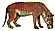 Hyaenodon horridus by R. B. Horsfall (coloured).jpg