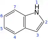 Skeletal formula with numbering scheme