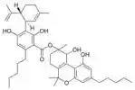 Chemical structure of cannabidiolic acid A cannabitriol ester.