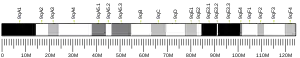 Chromosome 9 (mouse)