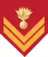 Insignia of a Hellenic army sergeant belonging to the infantry, who is a long-term volunteer or a professional hoplite.