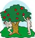 fall - the lapse of mankind into sinfulness because of the sin of Adam and Eve