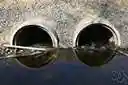 aerate - aerate (sewage) so as to favor the growth of organisms that decompose organic matter