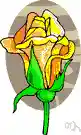 bud - a partially opened flower
