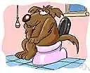 regular - not constipated