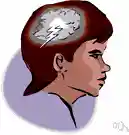 brain - that which is responsible for one's thoughts and feelings
