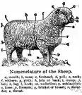 language - a system of words used to name things in a particular discipline