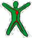 body process - an organic process that takes place in the body