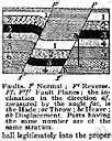 shift - (geology) a crack in the earth's crust resulting from the displacement of one side with respect to the other