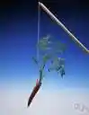 actuate - give an incentive for action