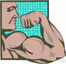 flex - the act of flexing