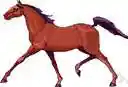 plug - an old or over-worked horse