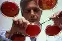 medium - (bacteriology) a nutrient substance (solid or liquid) that is used to cultivate micro-organisms