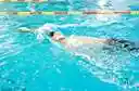 backstroker - someone who swims the backstroke