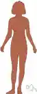 shape - alternative names for the body of a human being