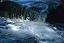 bubble - flow in an irregular current with a bubbling noise