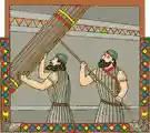 elevation - the event of something being raised upward