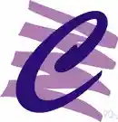 case - a specific size and style of type within a type family