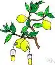 sour - make sour or more sour