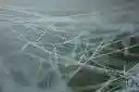 web - construct or form a web, as if by weaving