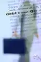 auditor - a qualified accountant who inspects the accounting records and practices of a business or other organization