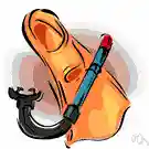 activity - any specific behavior