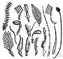 versatile - having great diversity or variety