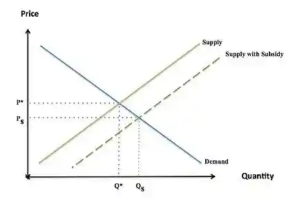 Subsidy- visualization.jpg