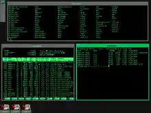 Debian FVWM Green.png