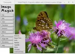 ImageMagick 6.0.6 on Knoppix 4.0.2