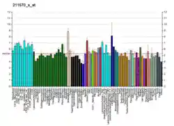 PBB GE RAPSN 211570 s at fs.png