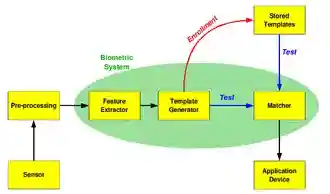 Biometric system diagram.png