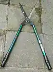Taille haie.jpg