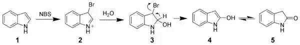 Oxidation of indole by N-bromosuccinimide