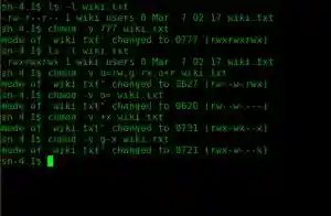 The chmod command