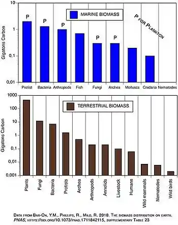 Biomass by life form.jpg