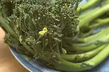 Broccolini.jpg
