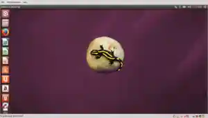 VMware Player running Ubuntu 14.04 beta on Ubuntu 12.10